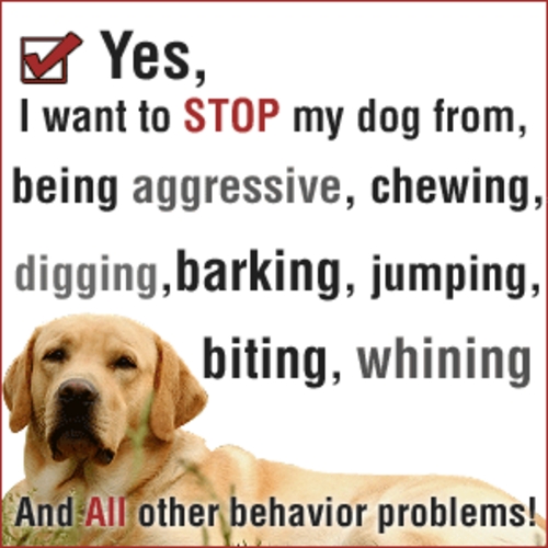 Product picture Training Your Dog